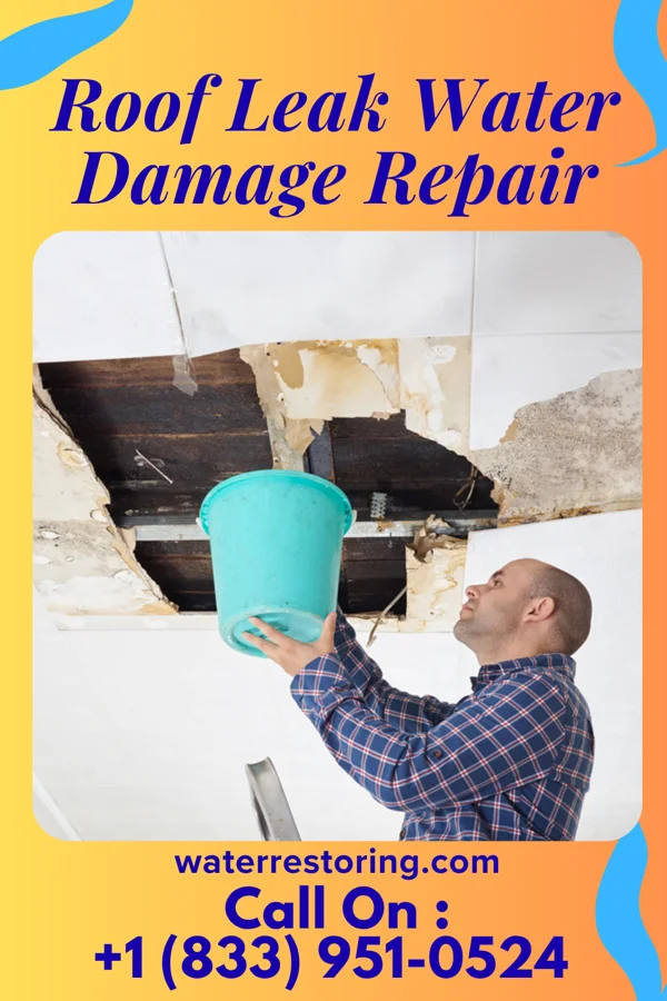 Roof Leak Water Damage Repair in Payson, UT